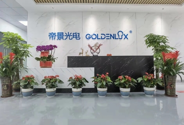 Китай Shenzhen Goldenlux Co., Ltd. Направление компании